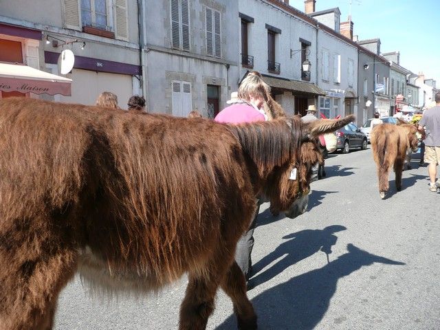 dimanche (88).jpg